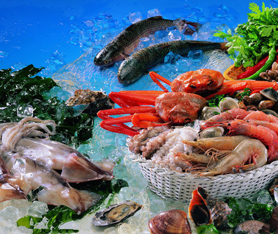 水產(chǎn)海鮮冷藏庫(kù) 守護(hù)水產(chǎn)品鮮度與安全的關(guān)鍵